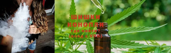 прущая мука Алзамай