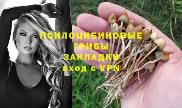 прущая мука Алзамай