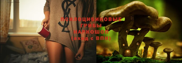 spice Великий Новгород