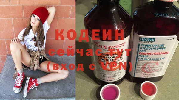 кокс Корсаков
