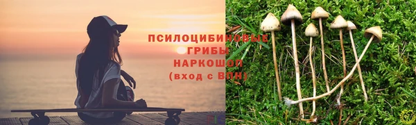 сатива Алексин