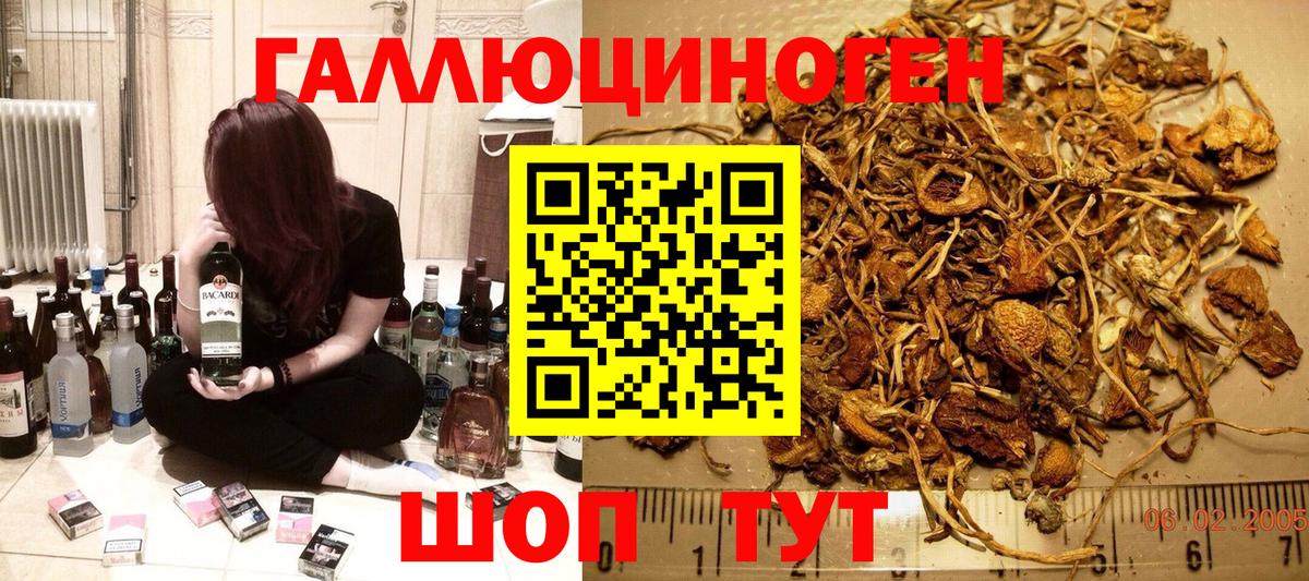 Псилоцибиновые грибы прущие грибы Балабаново
