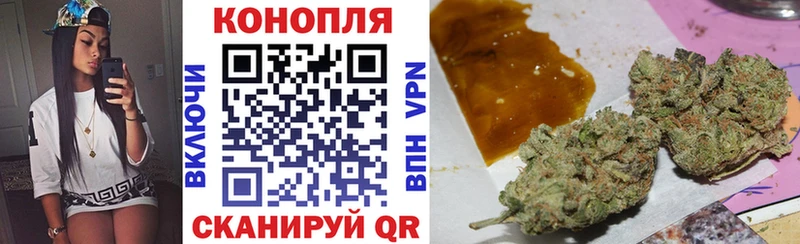 Каннабис гибрид  Балабаново 